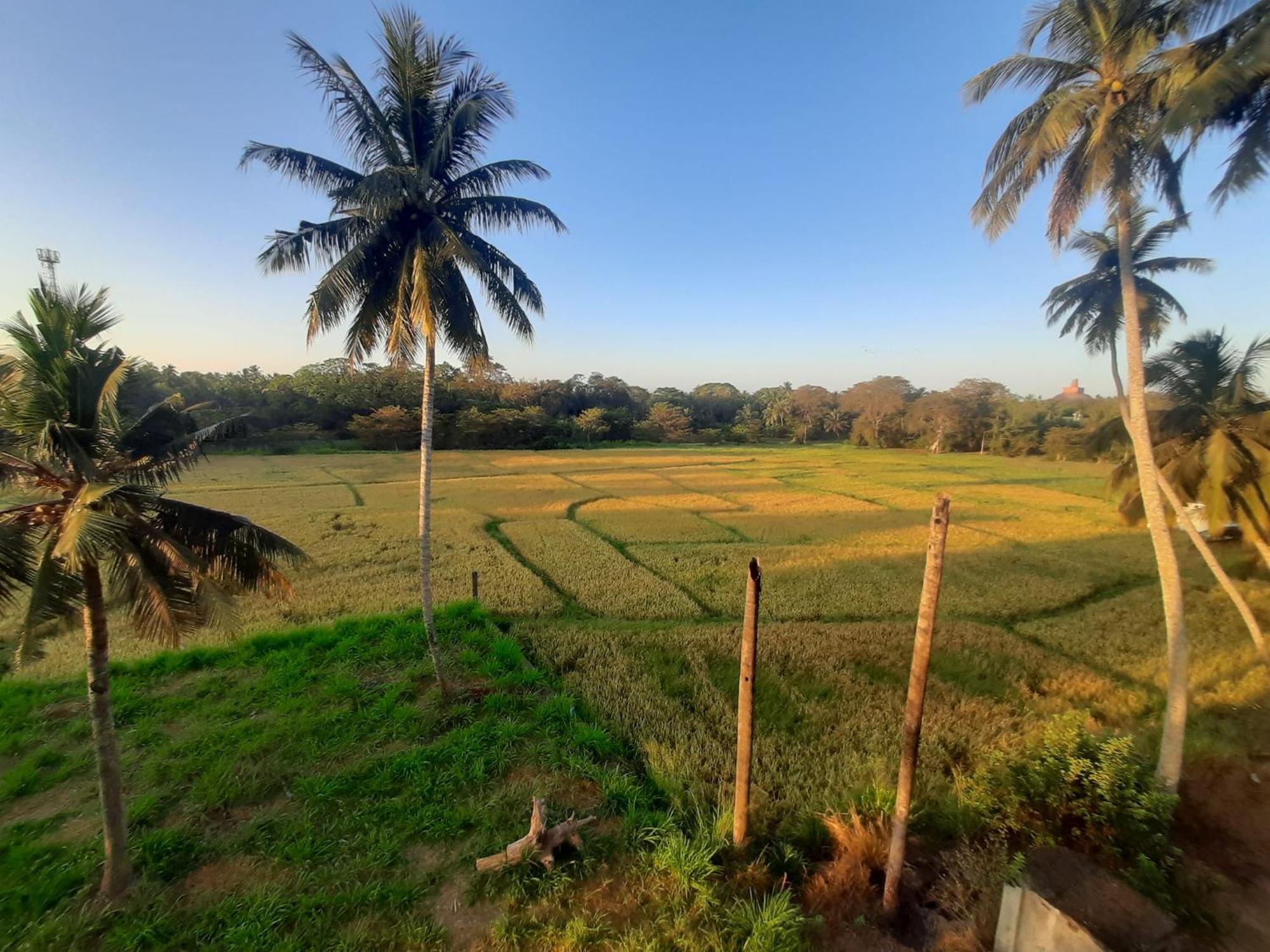 Anuradhapura Kingdom View Resort Exterior photo