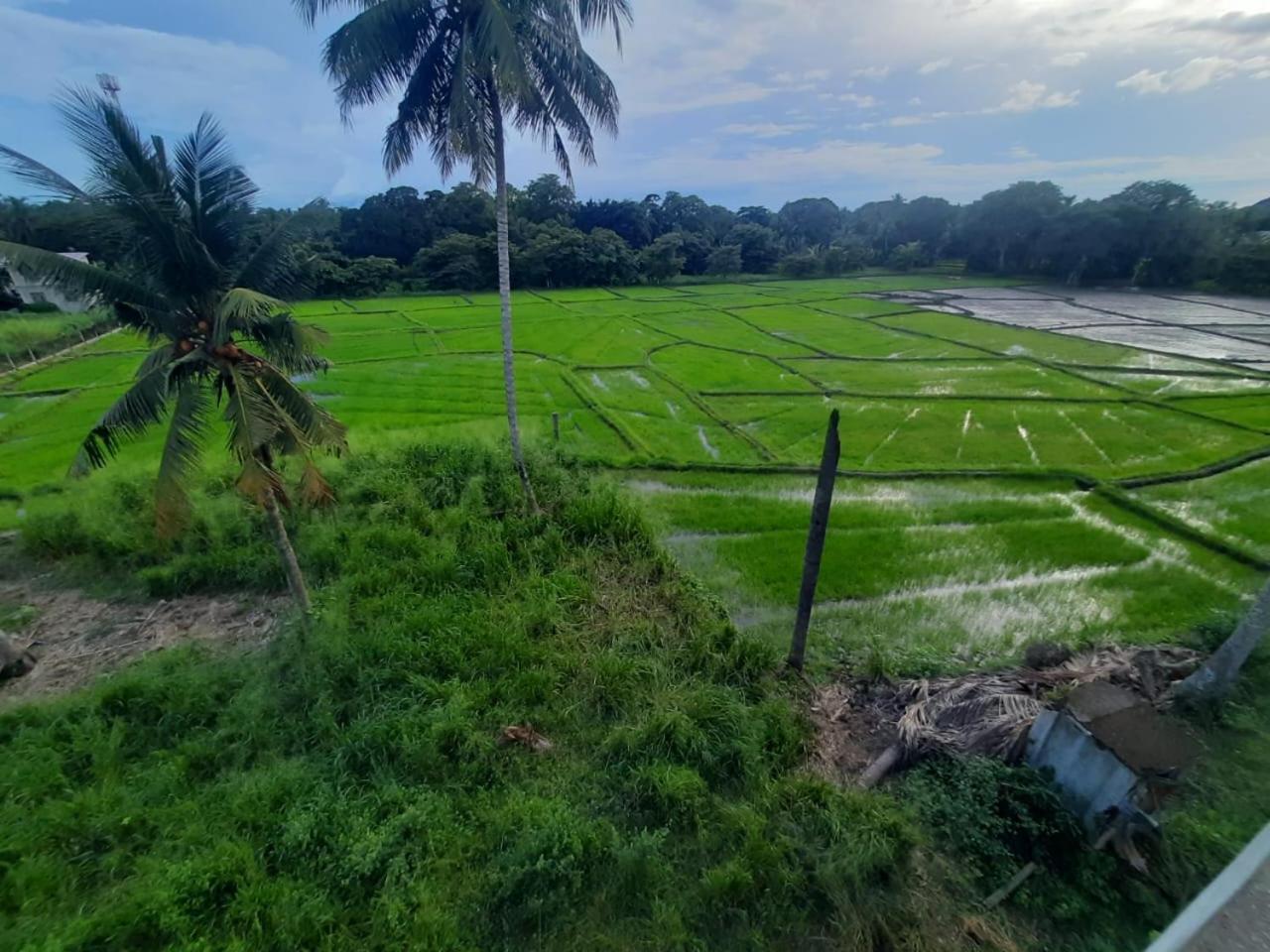 Anuradhapura Kingdom View Resort Exterior photo