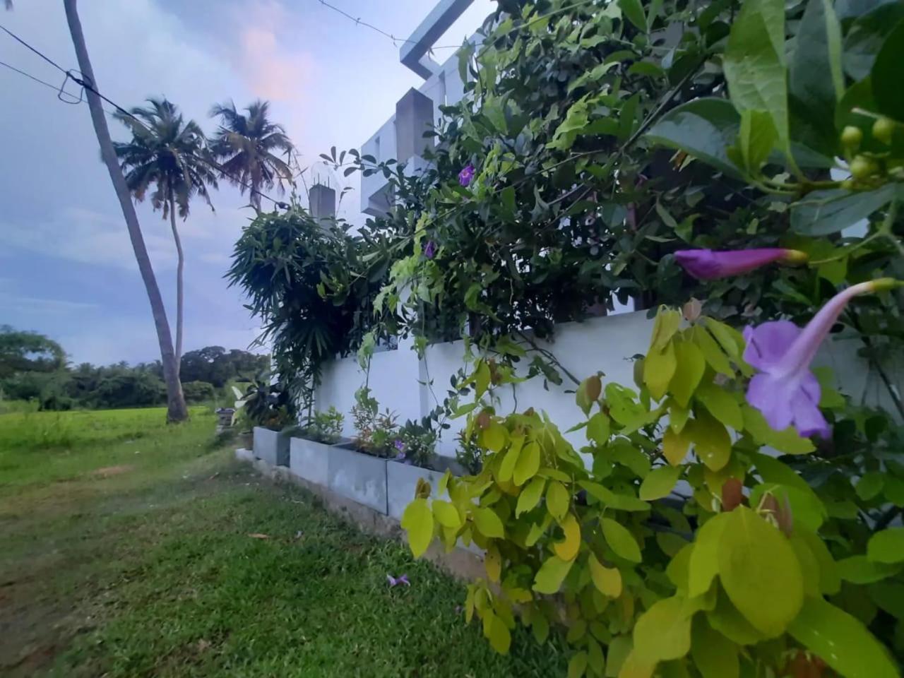 Anuradhapura Kingdom View Resort Exterior photo